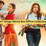 Ala Ninnu Cheri Telugu Movie Box Office Collection, Budget, Hit or Flop, OTT Play and More
